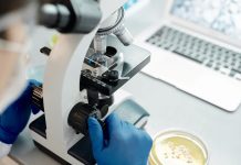 La IA refuerza la teoría de que el agua puede tener dos estados líquidos IA reforça teoria de que a água pode ter dois estados líquidos