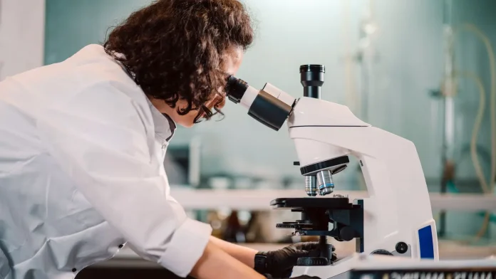 Google DeepMind y A24 anuncian una alianza de investigación sobre IA y cine