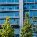 Nvidia y Microsoft presionan a Washington para proteger los modelos abiertos de IA