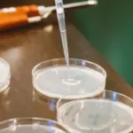 Codex y ChatGPT buscan antibióticos en genomas vivos y extintos: qué hizo el lab de De la Fuente